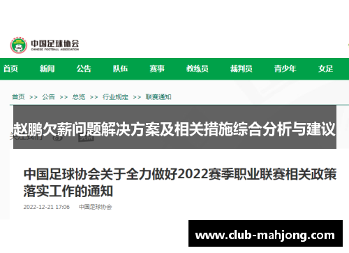 赵鹏欠薪问题解决方案及相关措施综合分析与建议